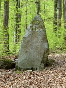 Menhir sous-bois (2,5 mètre de haut)