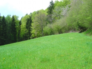 Juste avant de descendre dans les gorges