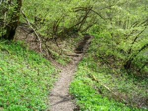 Le chemin en remontant des gorges