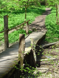 Un pont en bois enjambant le Flonzel