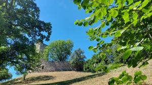 Arrivée au pied de la tour