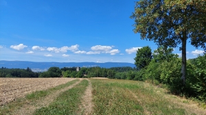 Coup d'œil sur la tour, en arrivant depuis Chêne-Pâquier