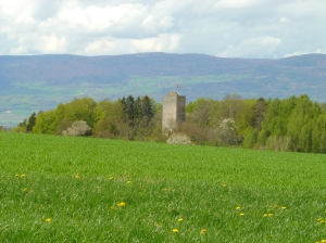 La tour de Saint-Martin