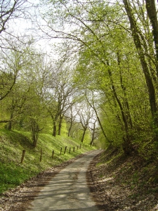 La route menant à la tour de Saint-Martin