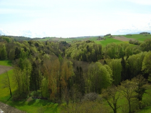 La vue depuis la tour de Saint-Martin