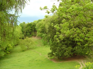 La clairière