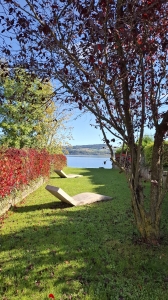 Une charmante petite plage, à Grandson, en contrebas du château
