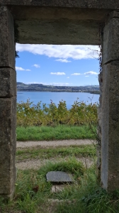 Sur les hauteurs du vignoble de Grandson