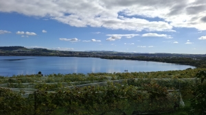 Vue sur le bout du lac de Neuchâtel, côté Yverdon