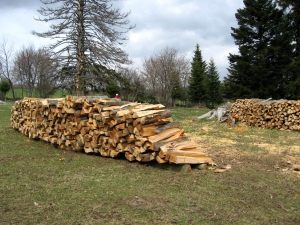 Bois pour l'hiver