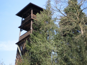 Tour du Jardin des Glaciers