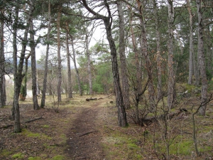 Le sentier