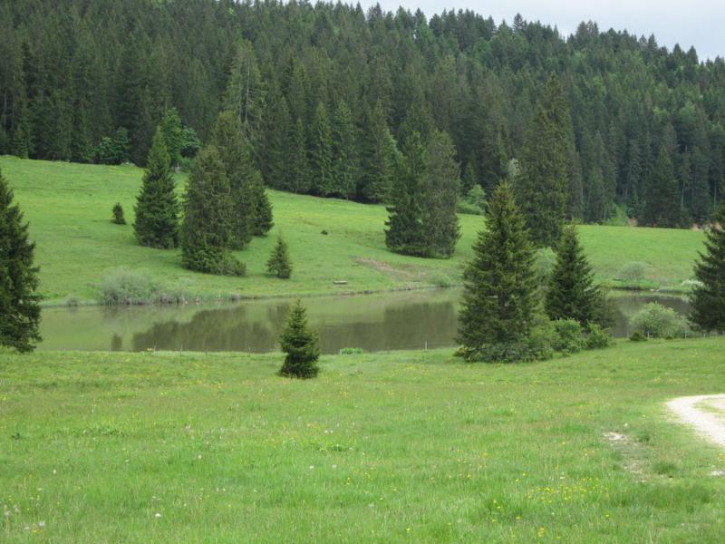 Etangs et Combe Tabeillon