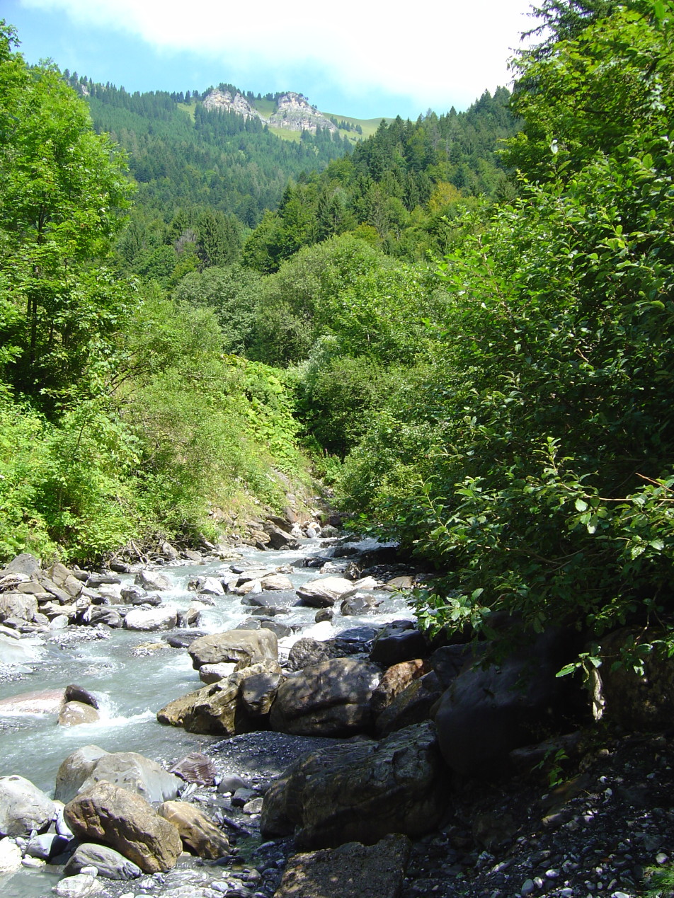 Gorges de l'Avançon de Nant