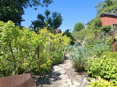 Le Jardin Instinctif