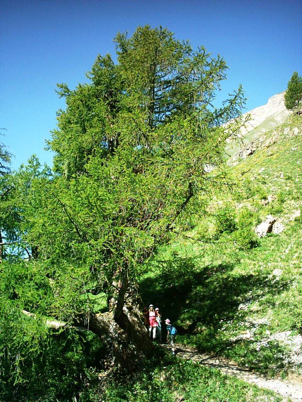 Tour du Grand Chavalard