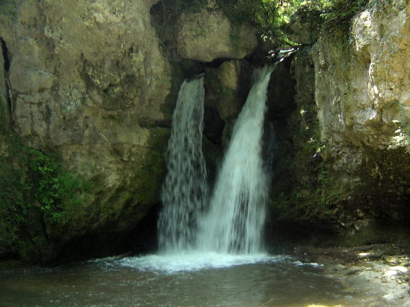 Tine de Conflens