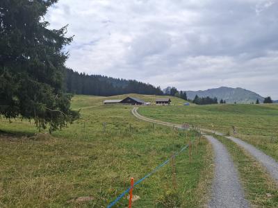 L'alpage de Savolaire