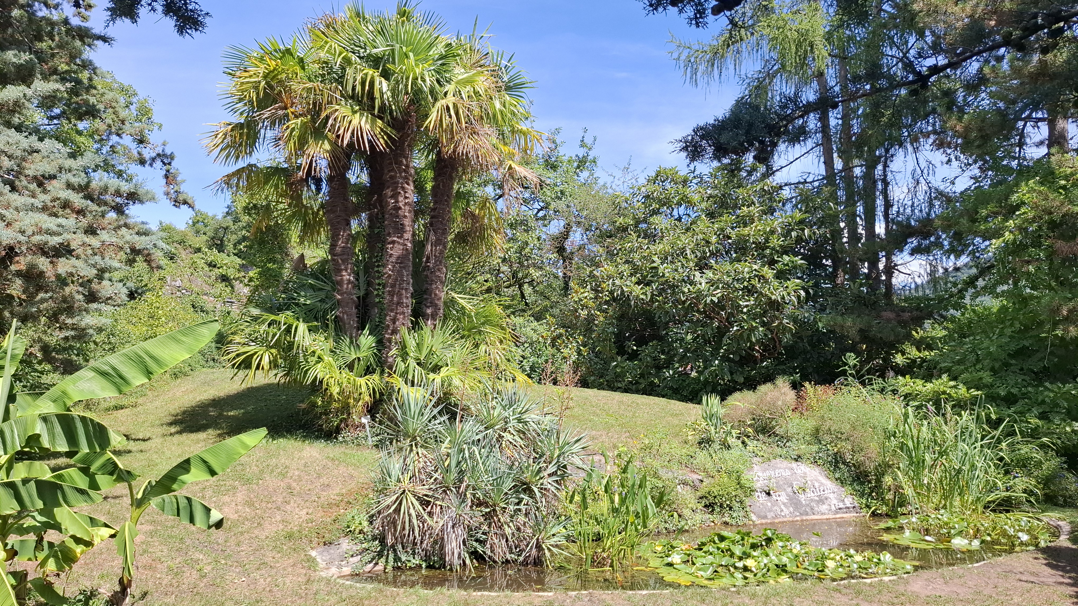 Jardin botanique de St-Triphon