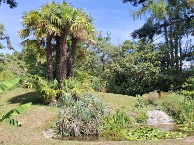 Le magnifique jardin botanique de St-Triphon