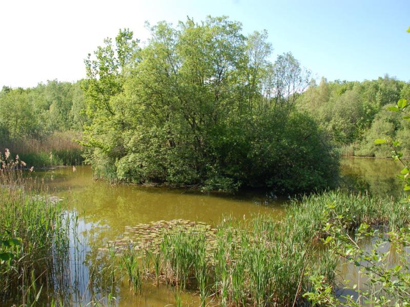 Sentiers nature et didactiques de l'étang du Buron