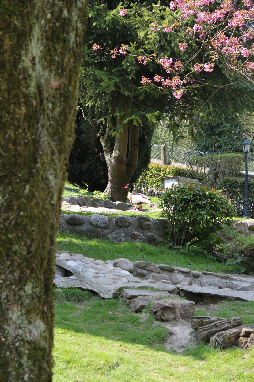 Parc animalier à Bercher