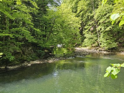 <p>L'Areuse coule par endroits paisiblement</p>