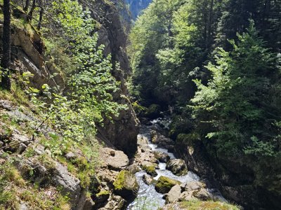 <p>Les gorges de l'Areuse</p>