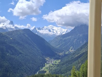 <p>Au fond, le Mont Blanc</p>