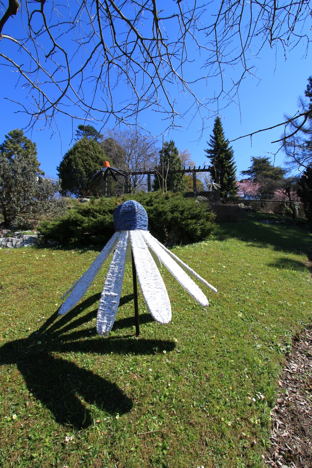 Jardin botanique de Lausanne - Montriond