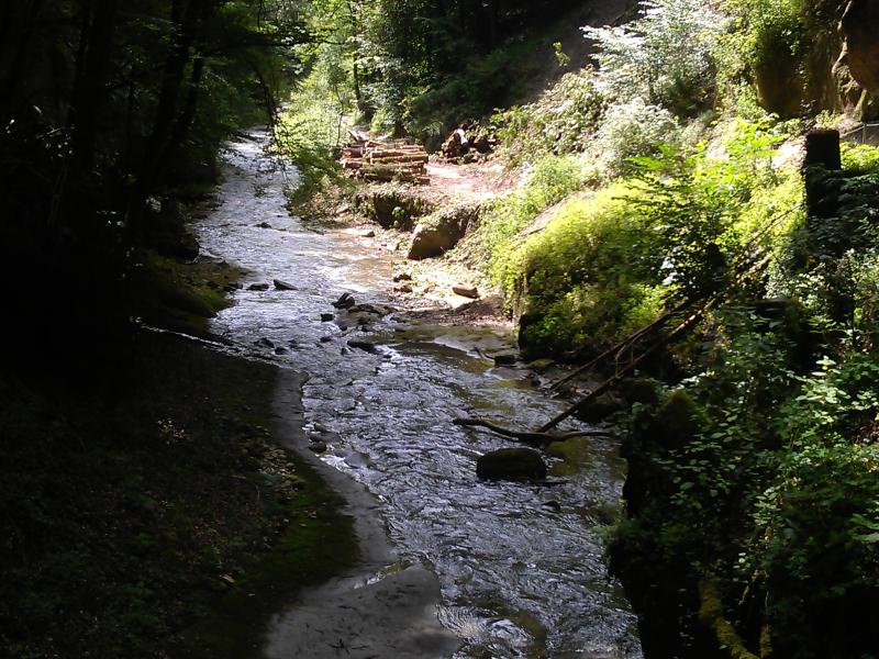 Vallée du Gottéron 