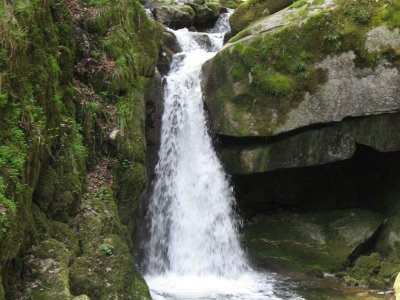 Une chute de la Douanne