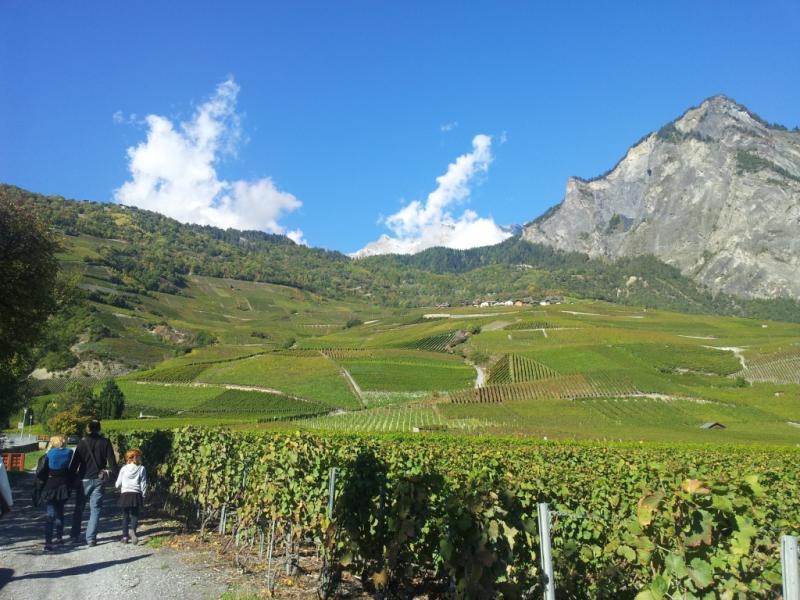 Les sources de Saillon