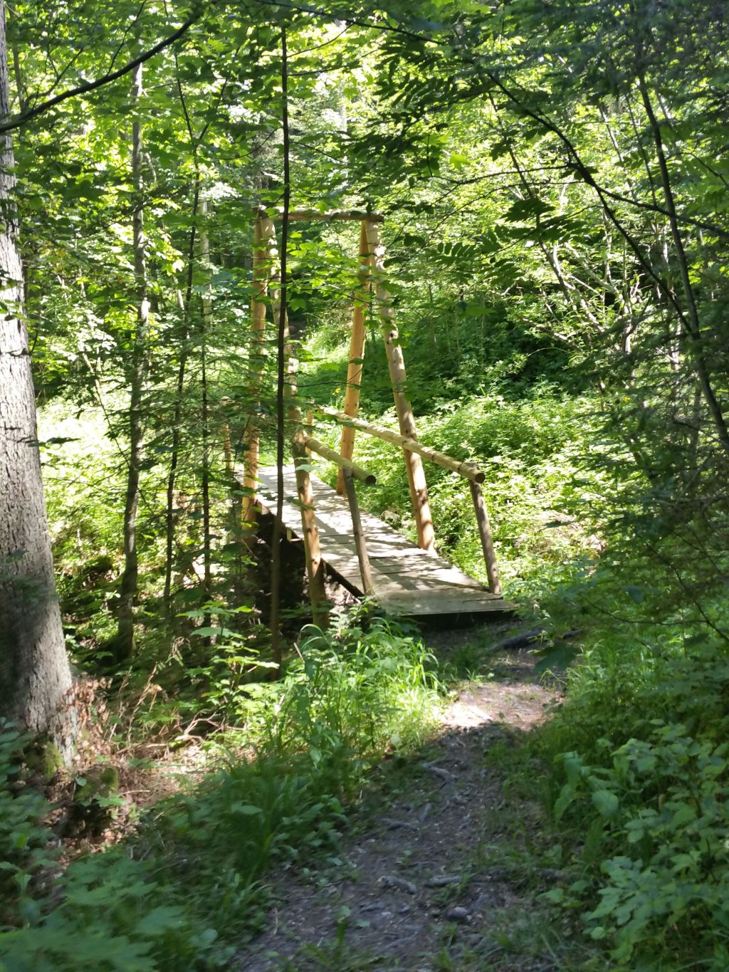 Sentier nature du Locle