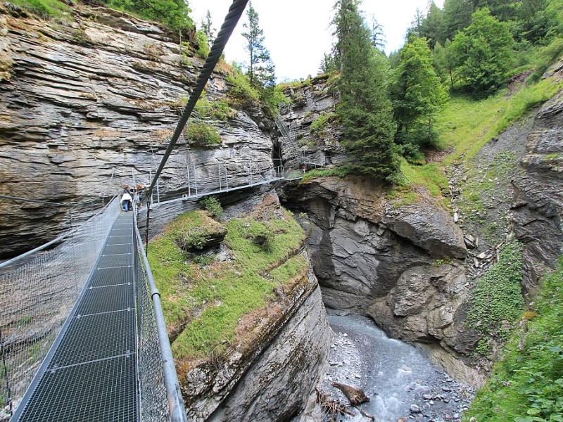 Gorges de la Dala / Passerelle des sources thermales