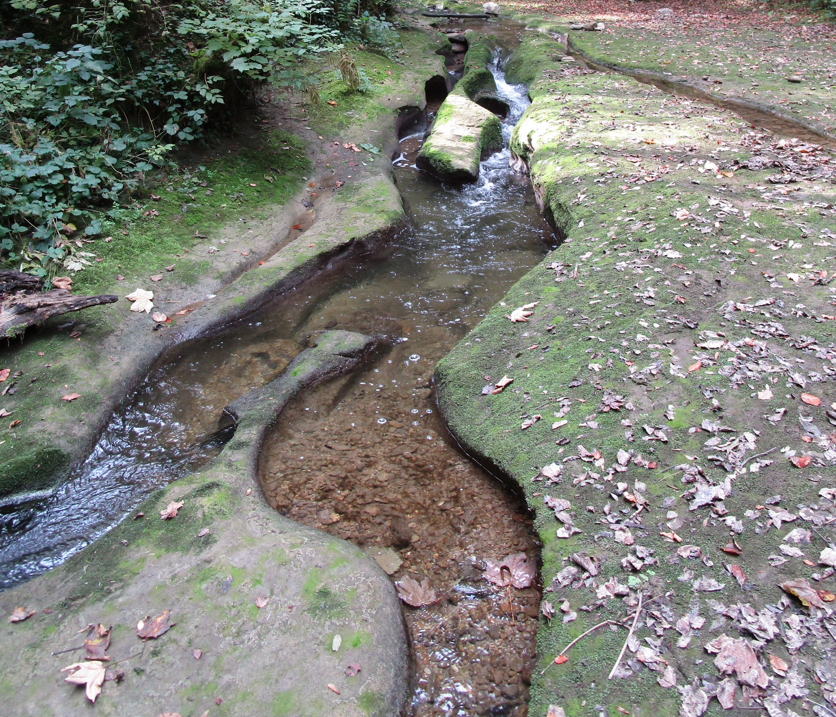 Le Sauteru