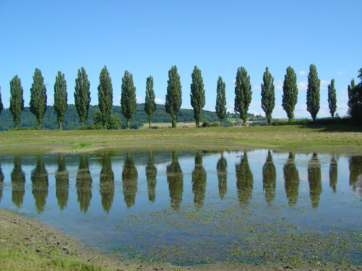 Réserve naturelle de la Sauge / Réserve du Fanel