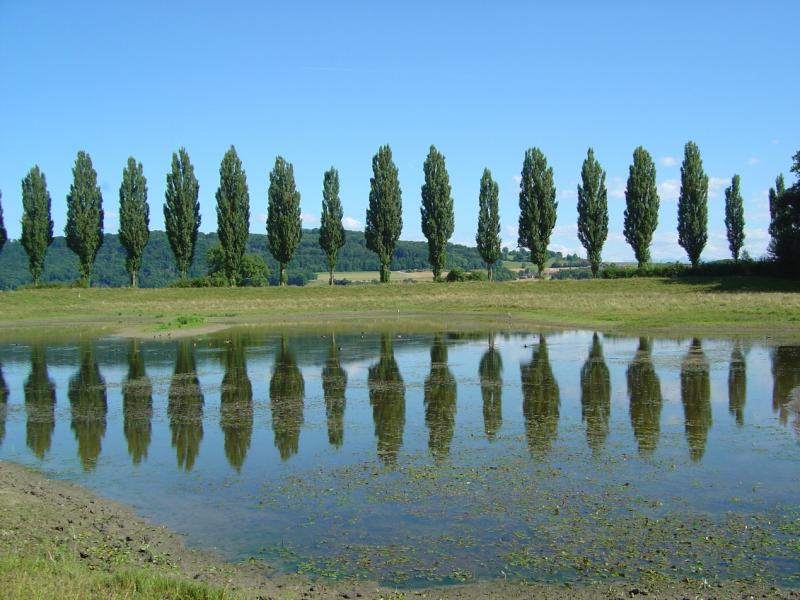 Réserve naturelle de la Sauge / Réserve du Fanel