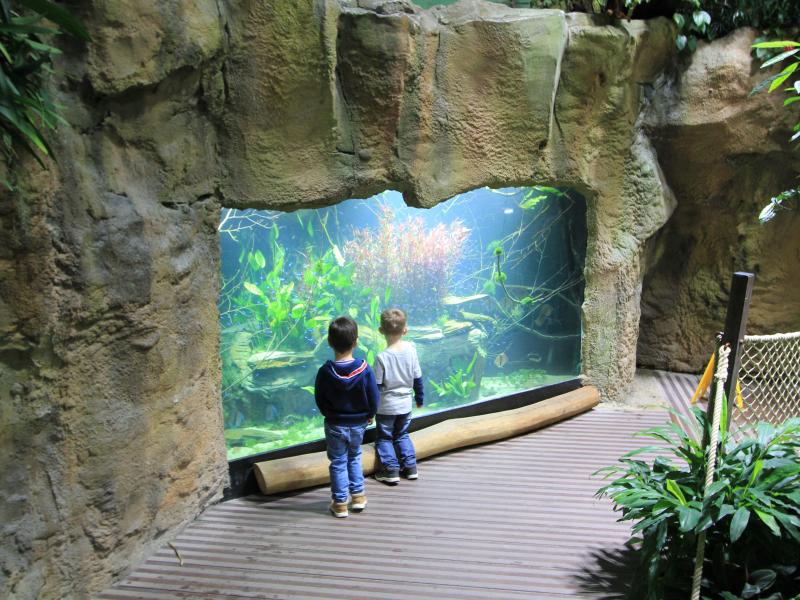 Aquatis (aquarium et vivarium)