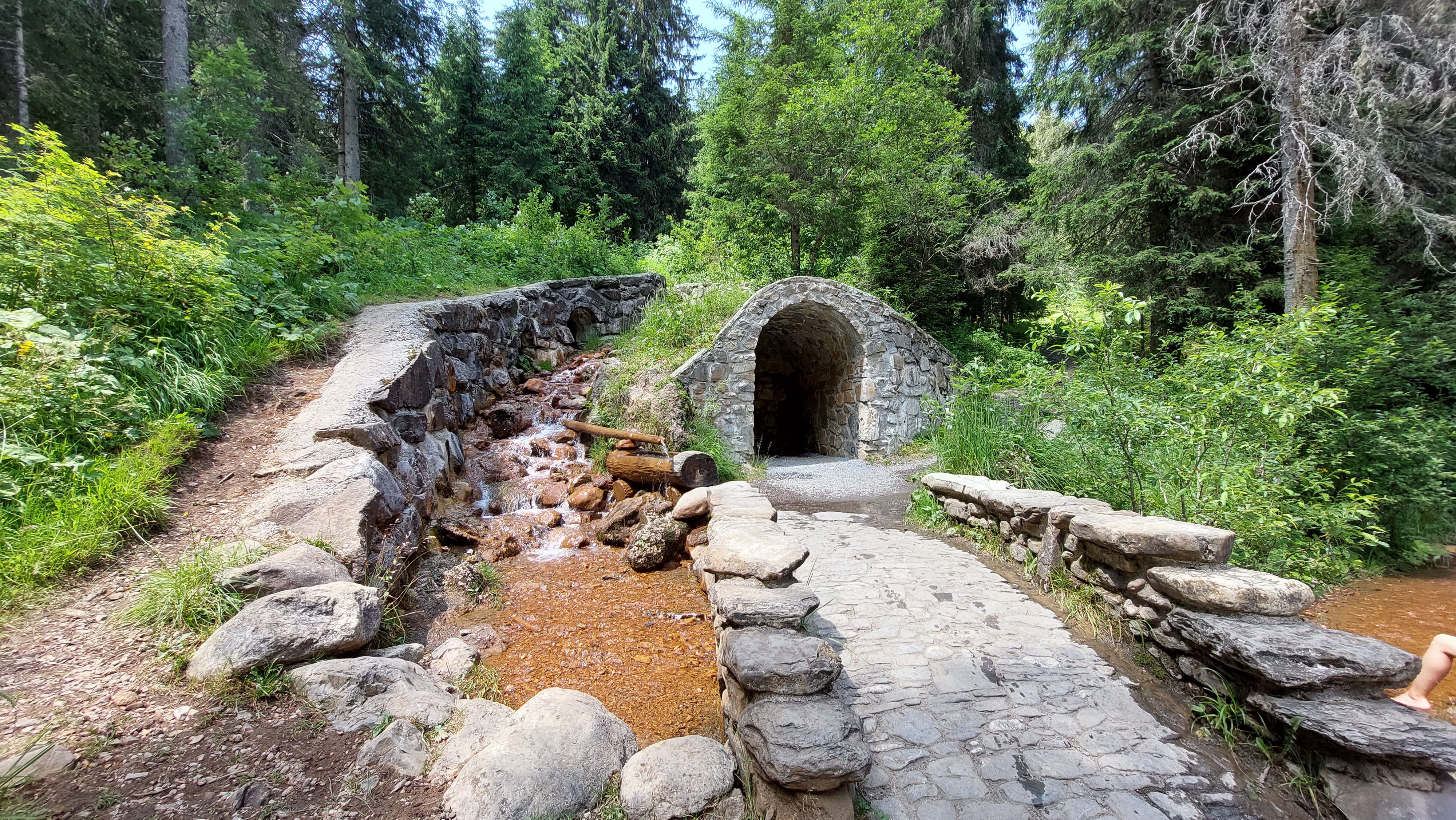 Sources ferrugineuses (Morgins)