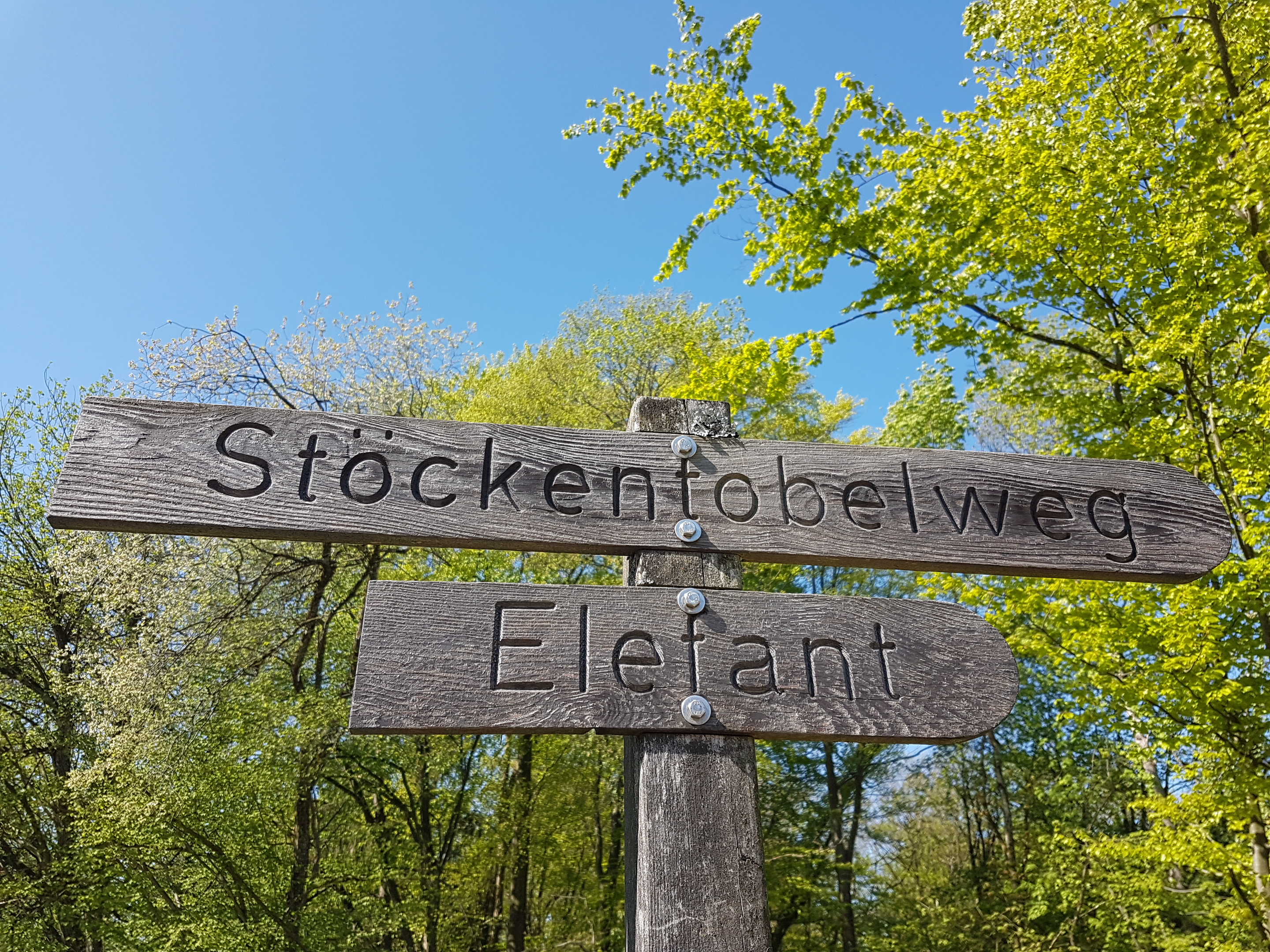 Le ruisseau de l'éléphant
