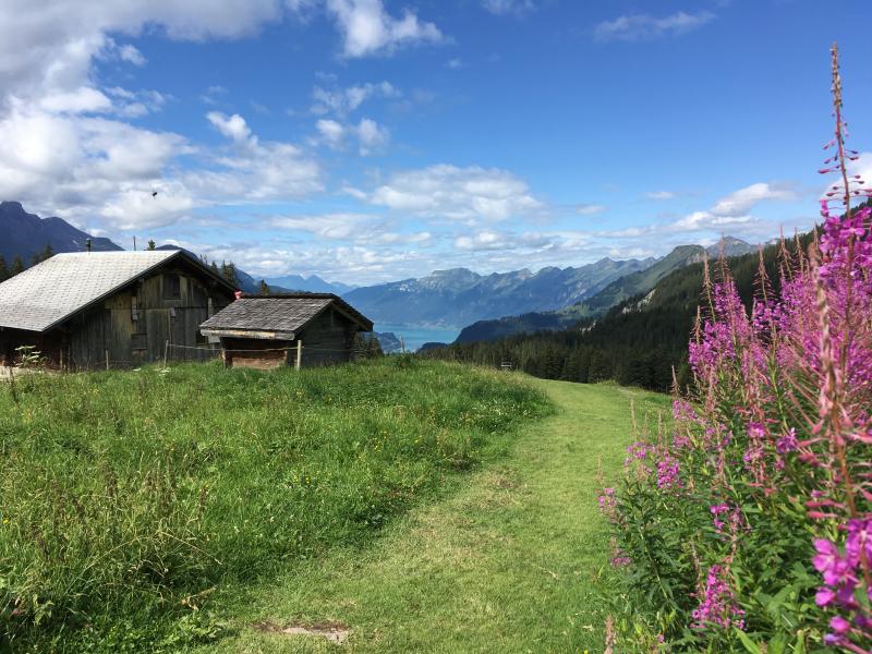 Muggestutz 1, Chemin des nains