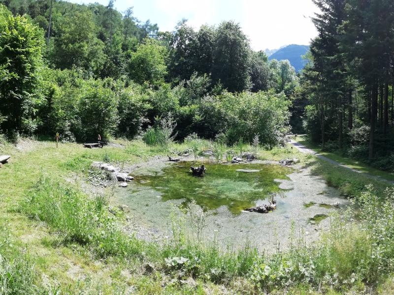 Grand Bois du Ban