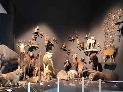 Le musée MUZOO