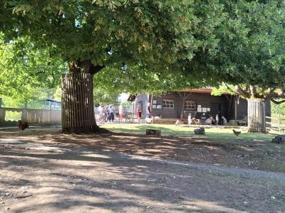 On peut entrer dans l'enclos des chèvres