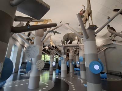Le musée MUZOO