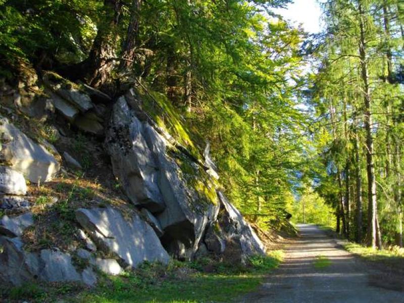 Sentier forestier de l'Hôtel Balance - Les Granges sur Salvan