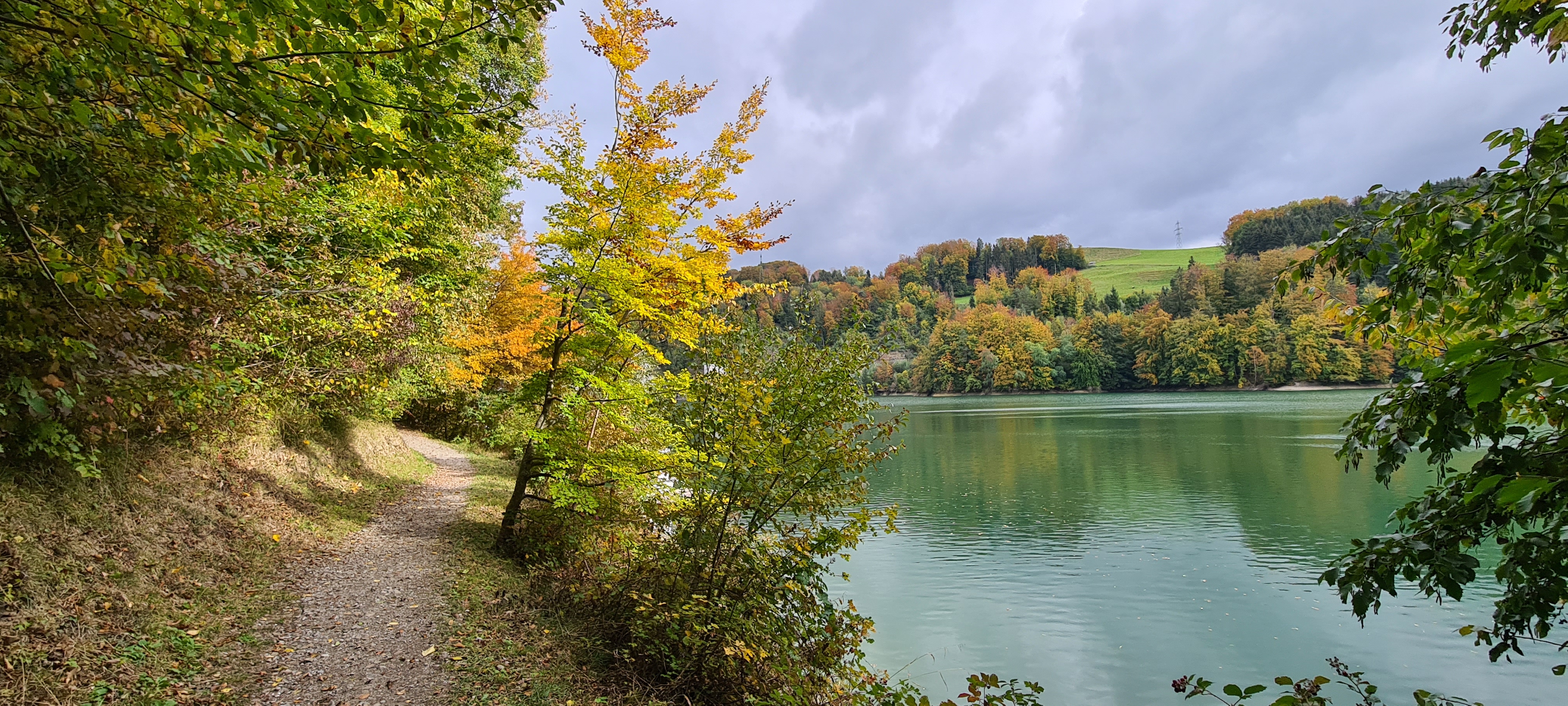 Barrage de Rossens, Lac de la Gruyère