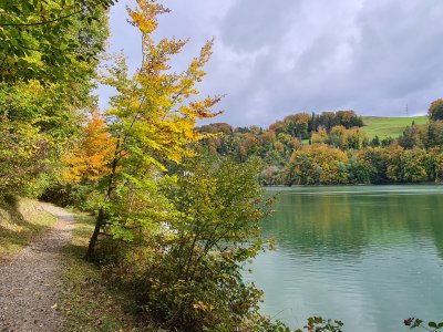 Sentier agréable le long du Lac de la Gruyère