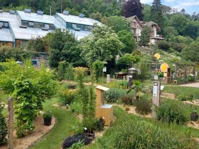 <p>A Neuchâtel, le jardin botanique et les serres</p>